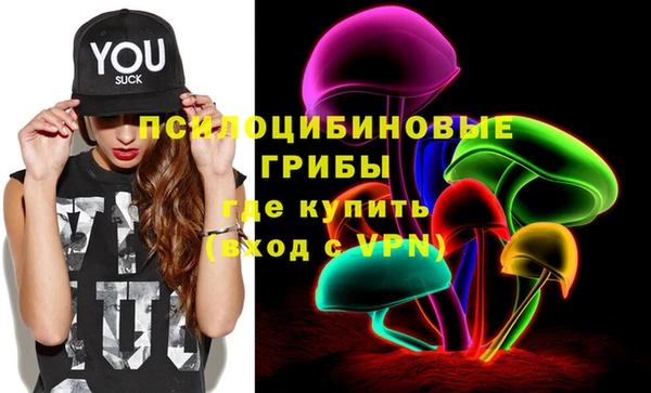 PSILOCYBIN Арсеньев