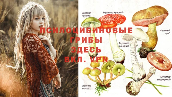 круглые Алексин