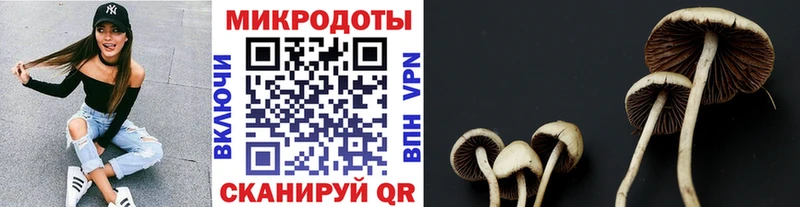 mega маркетплейс Солигалич сайты даркнета клад Псилоцибиновые грибы мицелий